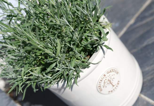 The outside space is pretty as a picture.