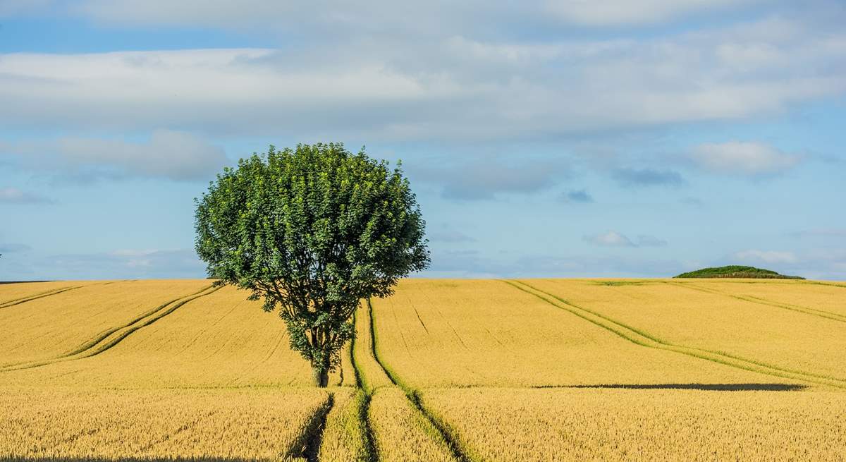 Rural Dorset will win your heart.