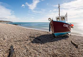 Watch the boats at Beer bringing in their daily catch.