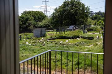 Looking across to the pond in the neighbours grounds, a super spot for numerous species of birds and wildlife.