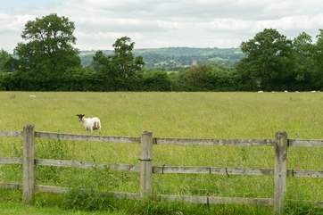 The distant views of Wells Cathedral are quite special.