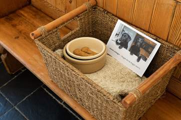 A warm welcome for your dog.