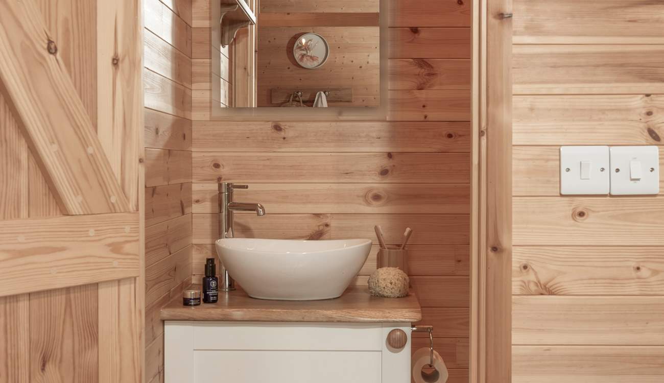 The cute en-suite shower room.