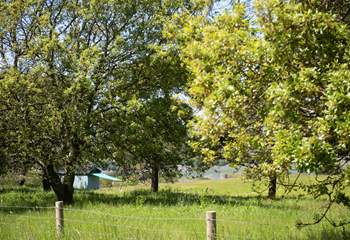 Lose yourself in Tamar Hut's tranquil setting.