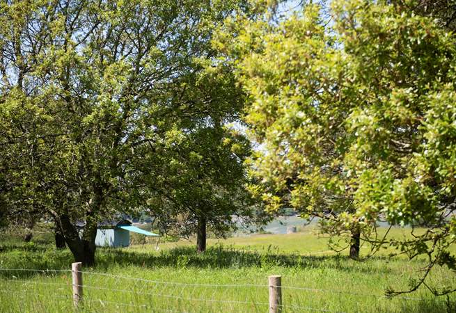 Lose yourself in Tamar Hut's tranquil setting.