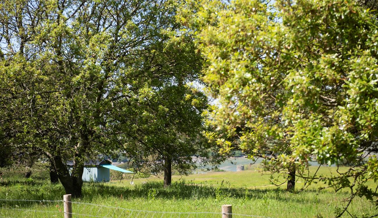 Lose yourself in Tamar Hut's tranquil setting.
