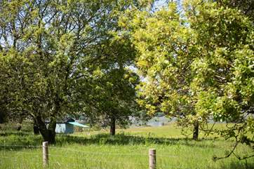 Lose yourself in Tamar Hut's tranquil setting.
