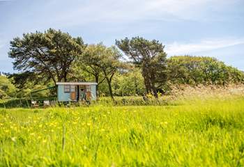 Feel at home in the tranquil meadow.