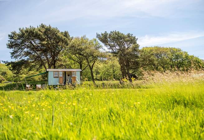 Feel at home in the tranquil meadow.