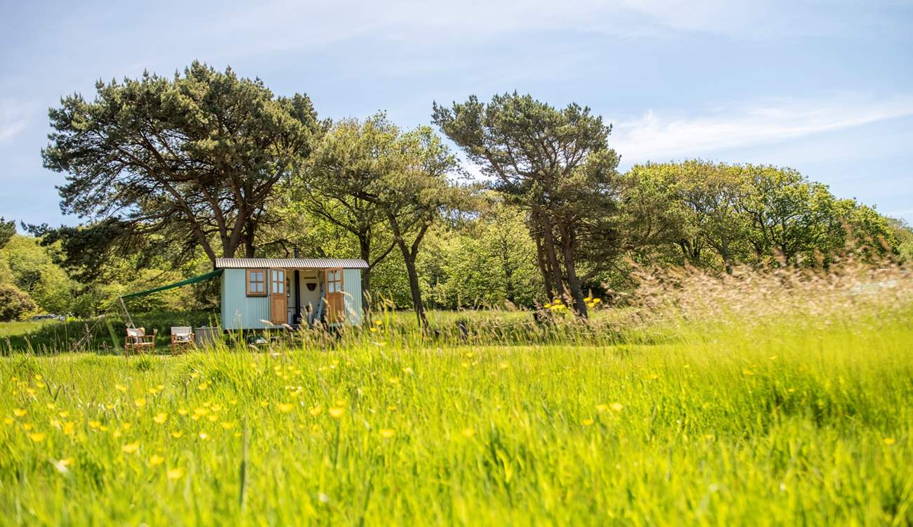 Feel at home in the tranquil meadow.