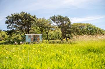 Feel at home in the tranquil meadow.
