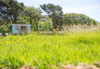 Relax and reconnect with nature.