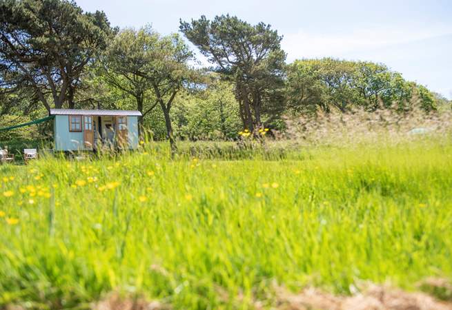 Relax and reconnect with nature.