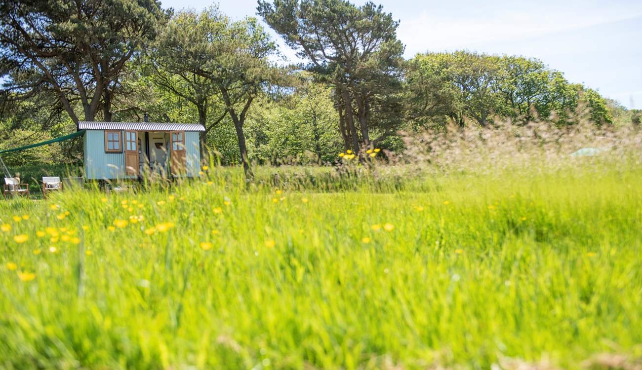 Relax and reconnect with nature.