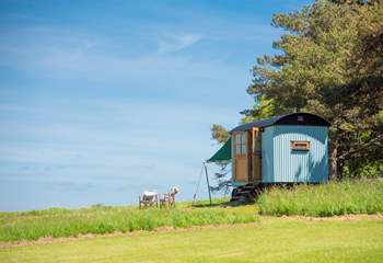 Tamar Hut is nestled in the beautiful Mount Edgcumbe Country Park.