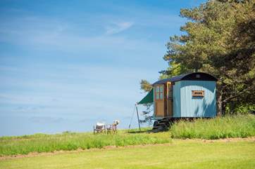 Tamar hut is nestled in the beautiful Mount Edgcumbe Country Park.