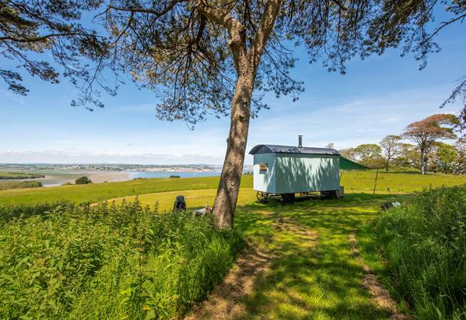 Immerse yourself in the best of country living at Tamar Hut.