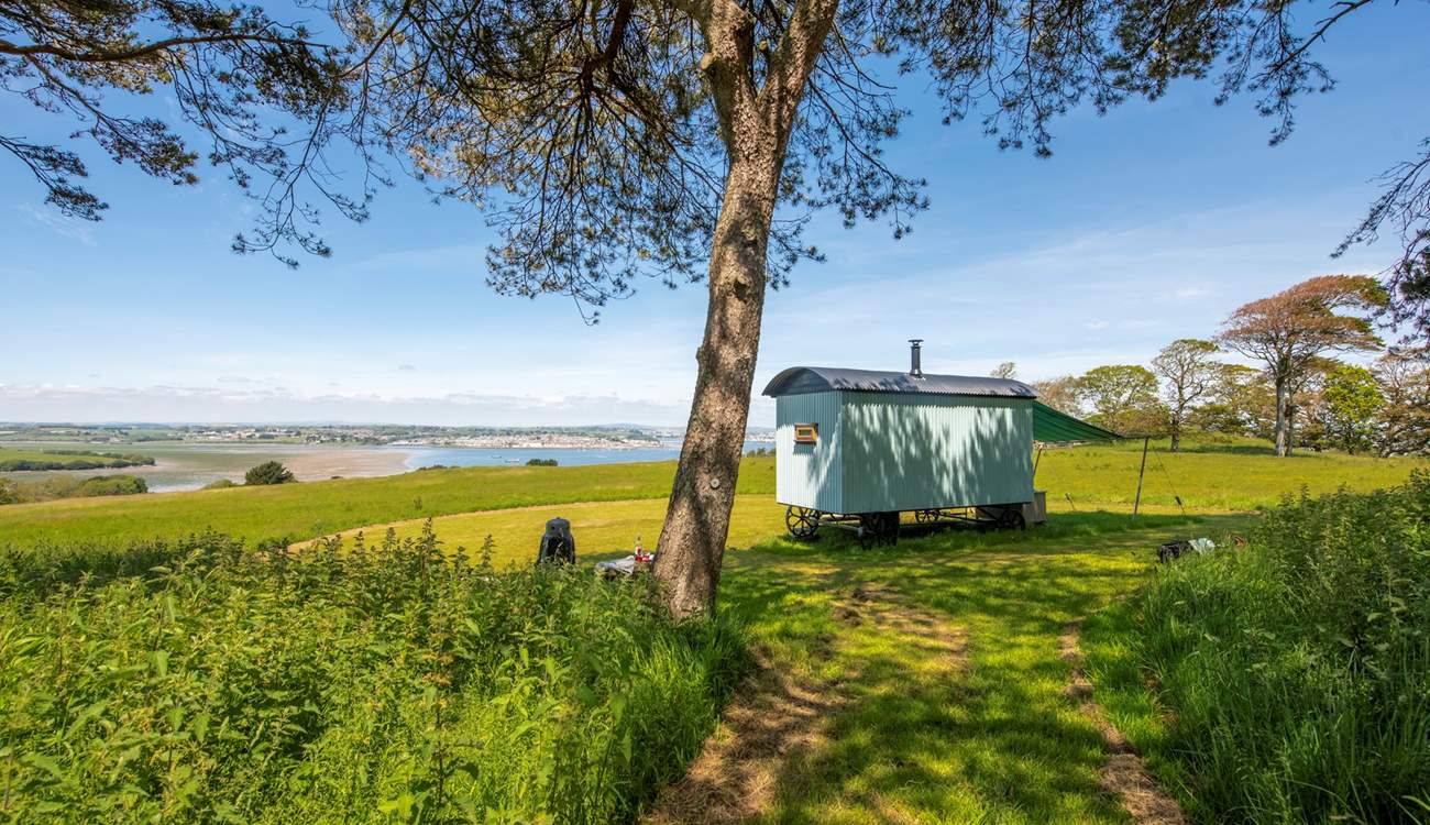 Immerse yourself in the best of country living at Tamar Hut.