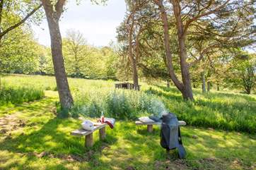 Relax with a good book in the afternoon sun.