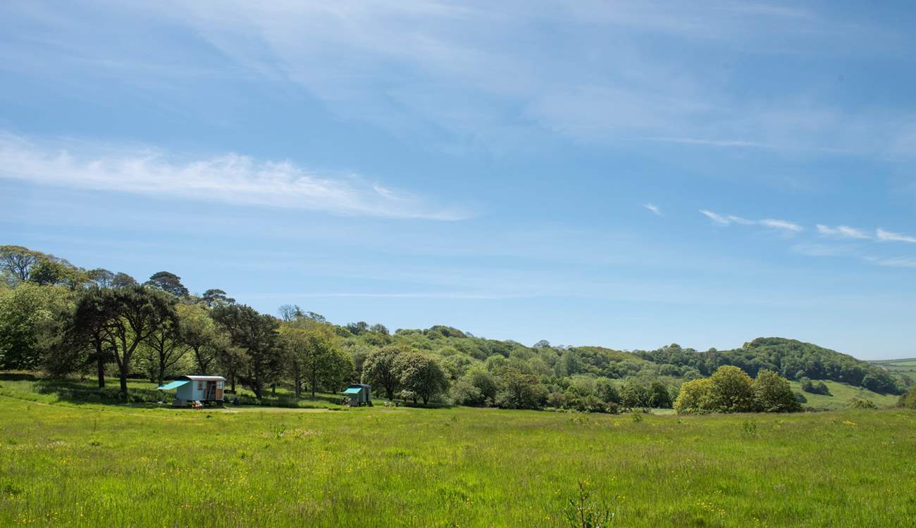 There is one other hut that shares the meadow with you, Tamar. Perfect for two families or two couples looking to holiday together, however, the huts are positioned so you have plenty of privacy. 