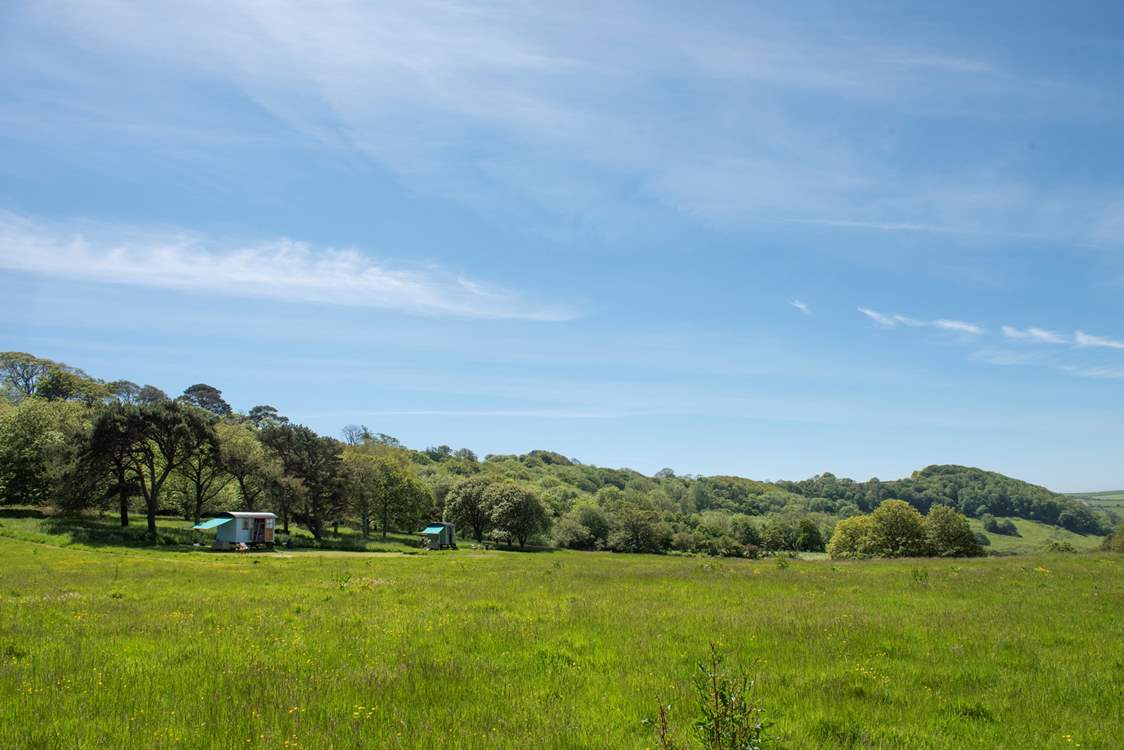 There is one other hut that shares the meadow with you, Tamar. Perfect for two families or two couples looking to holiday together, however, the huts are positioned so you have plenty of privacy.