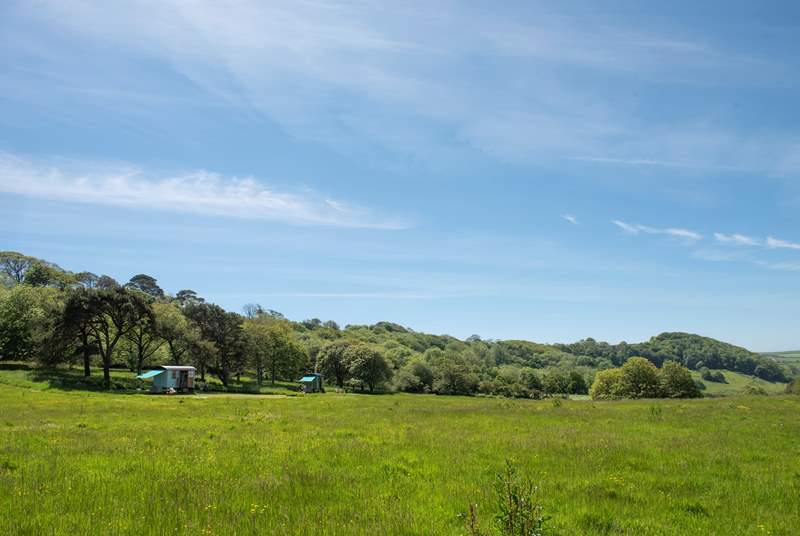 There is one other hut that shares the meadow with you, Tamar. Perfect for two families or two couples looking to holiday together, however, the huts are positioned so you have plenty of privacy. 