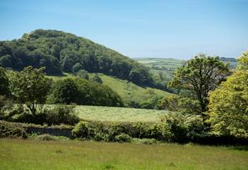 Relax amongst nature, you deserve it. 