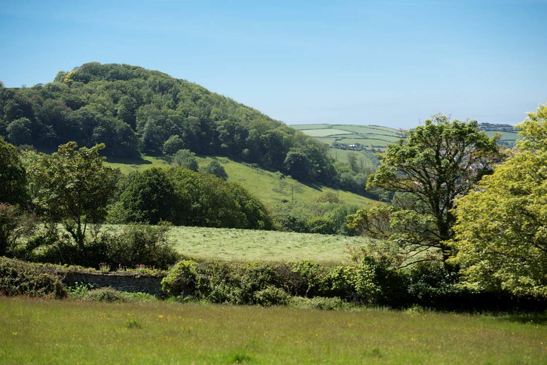 Relax amongst nature, you deserve it.