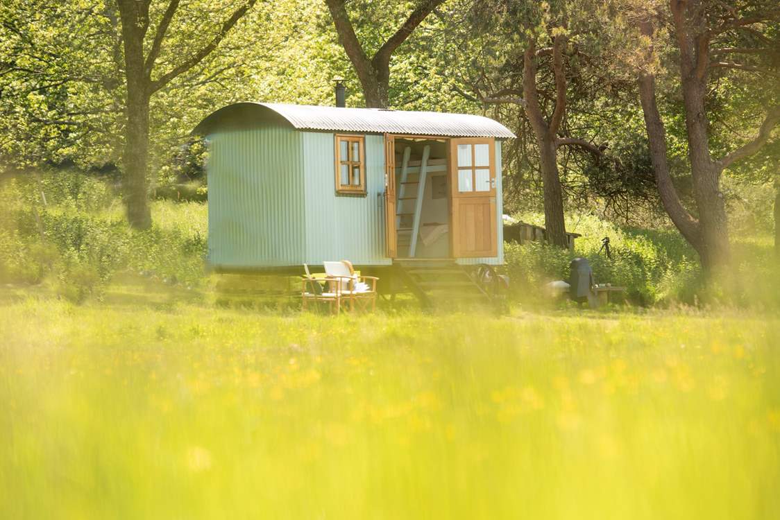 Just the most heavenly little hut settled amongst unspoilt nature.