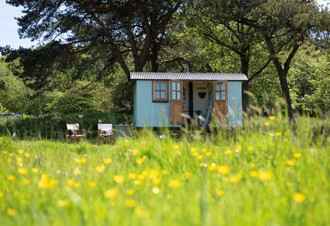 Imagine waking to this view every morning. What a dream! 