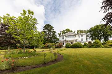 The house comes with its own large private garden, planted with poppies for spring!