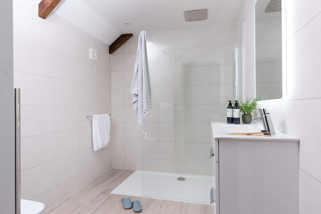 The fabulous en suite shower-room.