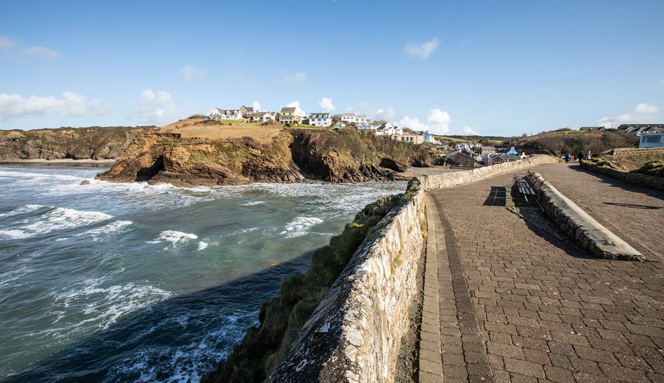 Walk from Broad Haven to Little Haven at low tide. Swathes of golden sand and rolling surf. Nothing like a beach day!