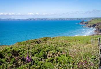 Discover the craggy coves, sandy beaches and pretty seaside villages along the Pembrokeshire coast. 