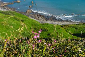 The dramatic north coast of Cornwall is stunning.