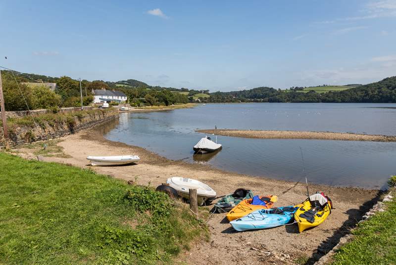 Why not make the most of being next to the Tamar and explore the area on the water?