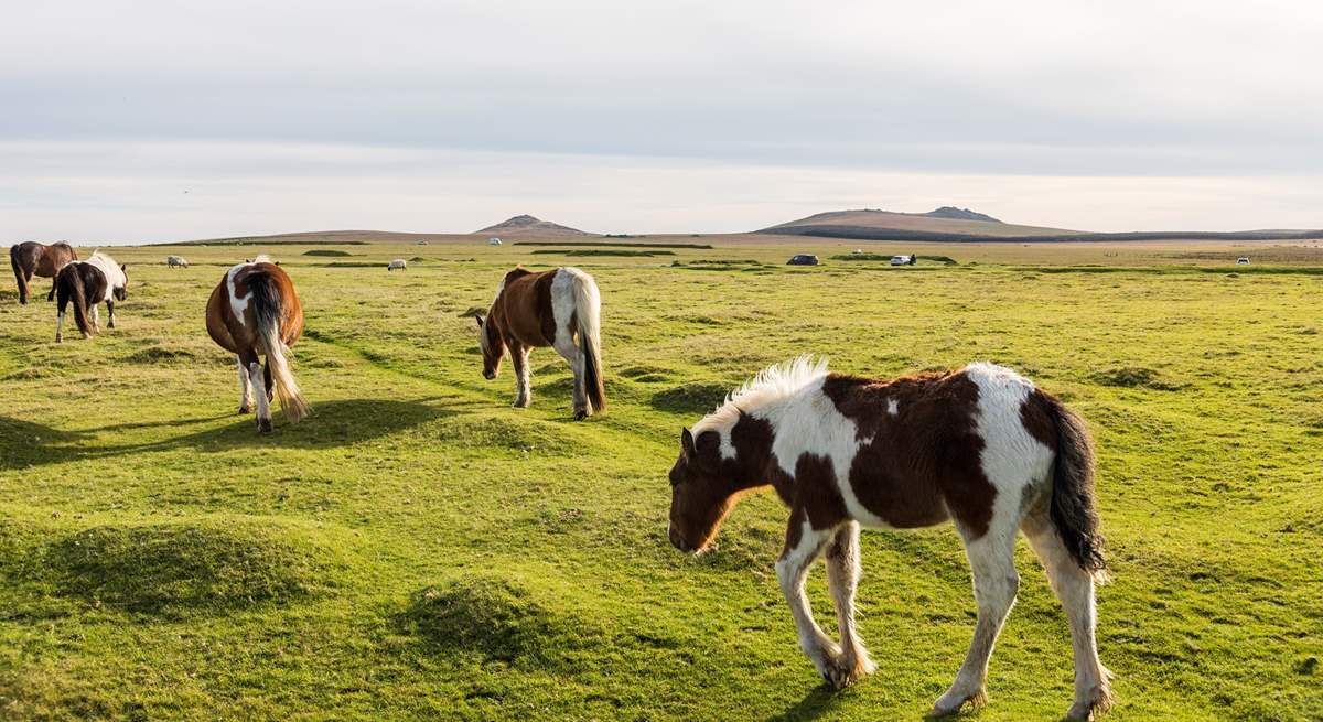 Beautiful and vast, Bodmin Moor waiting to be explored.