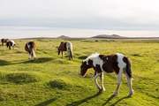 Beautiful and vast, Bodmin Moor waiting to be explored.