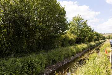 Perhaps a riverside walk is in order?