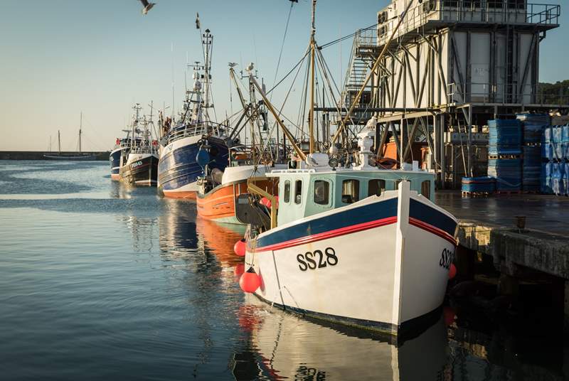 Enjoy a very scenic walk to Newlyn to buy fresh fish from the numerous fish shops there.