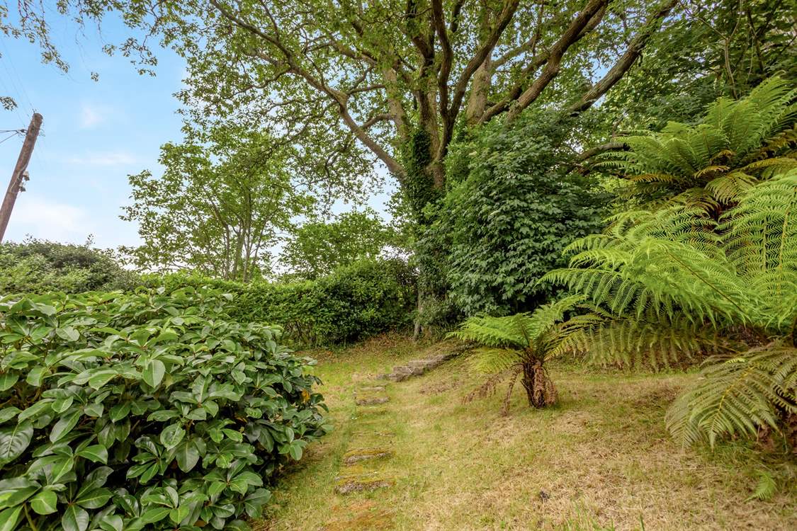 The small grassy area has lots of sub-tropical plants.