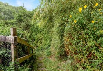 The 33 steps that lead to the garden from Hope Cottage, make sure you have not forgotten that bottle of wine!