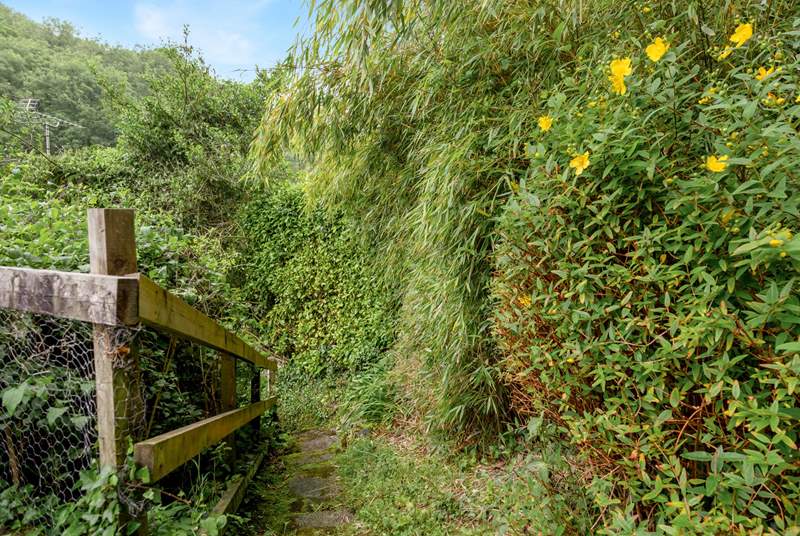The 33 steps that lead to the garden from Hope Cottage, make sure you have not forgotten that bottle of wine!