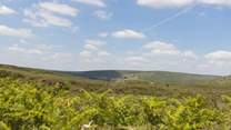 A view to remember! 