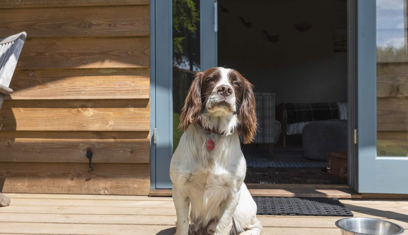 Your beloved pooch is also very welcome to join you on your long-awaited break away.