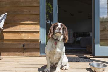 Your beloved pooch is also very welcome to join you on your long-awaited break away.