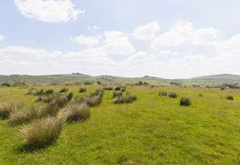 Where better to stay for adventure-filled days, than beautiful Dartmoor?