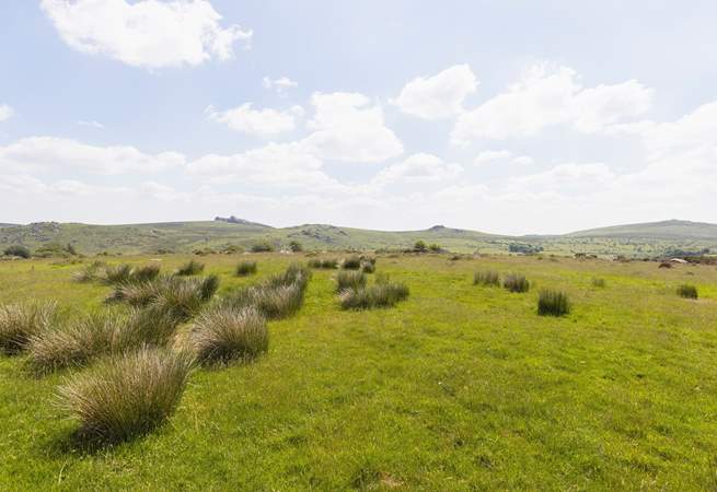 Where better to stay for adventure-filled days, than beautiful Dartmoor?