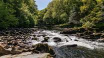 So much to explore in this enchanting part of the world. The River Dart is a truly magical place