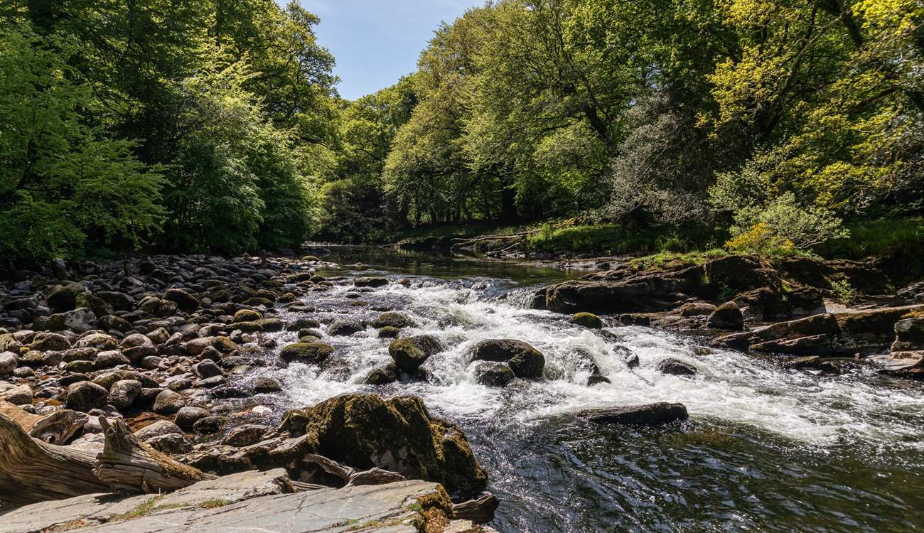 So much to explore in this enchanting part of the world. The River Dart is a truly magical place